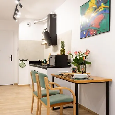 Luxurycity With Terrace Apartment