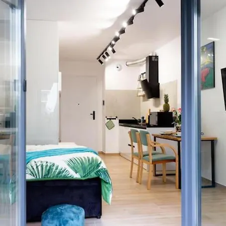 Luxurycity With Terrace Apartment